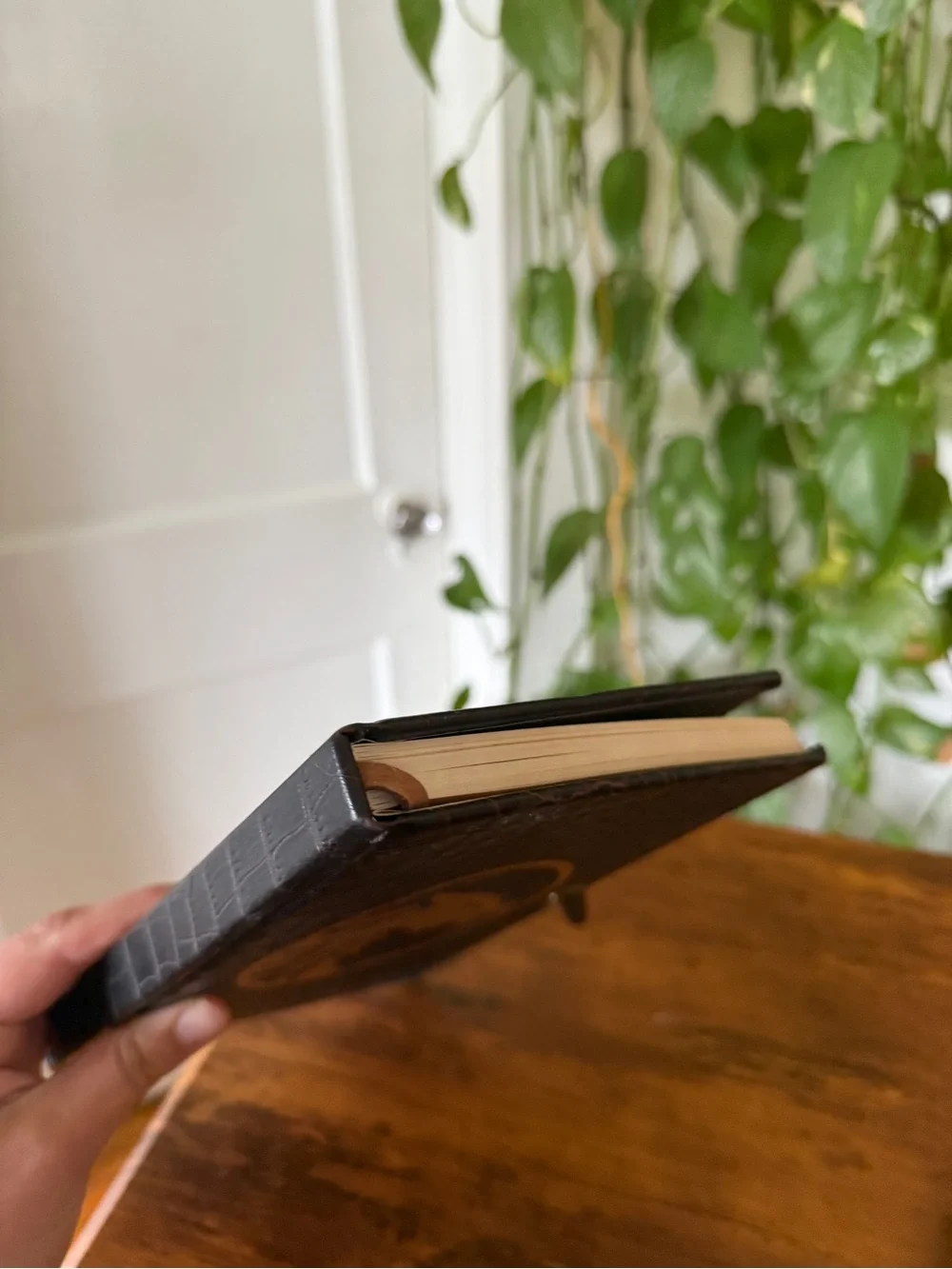 Tangerine Black Journal with Gold Dragon Emblem